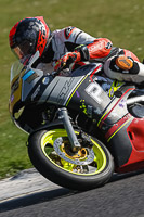 brands-hatch-photographs;brands-no-limits-trackday;cadwell-trackday-photographs;enduro-digital-images;event-digital-images;eventdigitalimages;no-limits-trackdays;peter-wileman-photography;racing-digital-images;trackday-digital-images;trackday-photos